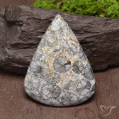 47.39ct Natürlicher Mehrfarbig Koralle, Birnenform, Lichtundurchlässig, Photo A
