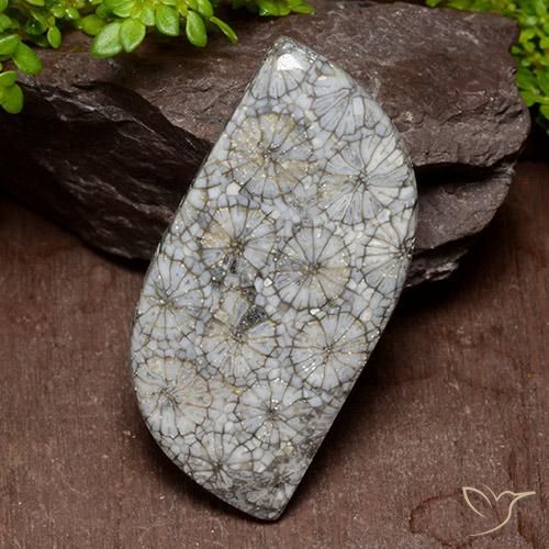 40.47ct Natürlicher Mehrfarbig Koralle, Fantasie, Lichtundurchlässig