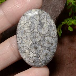 9,17 ctw natürlicher Mehrfarbig Koralle, Oval Schliff, Lichtundurchlässig