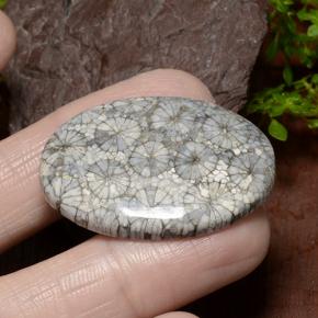 9,17 ctw natürlicher Mehrfarbig Koralle, Oval Schliff, Lichtundurchlässig