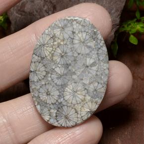 9,17 ctw natürlicher Mehrfarbig Koralle, Oval Schliff, Lichtundurchlässig