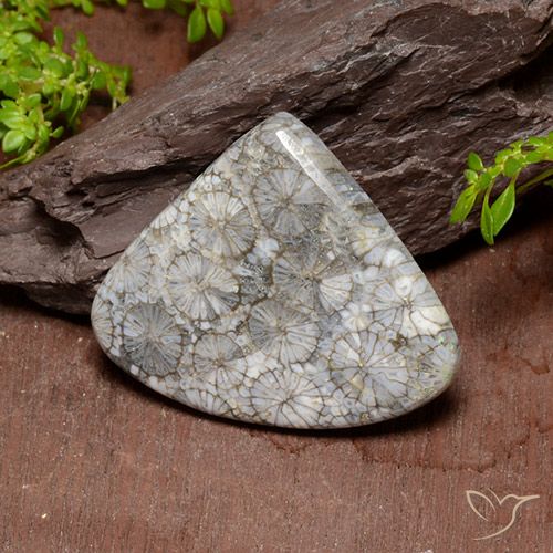 39.63ct Natürlicher Mehrfarbig Koralle, Birnenform, Lichtundurchlässig