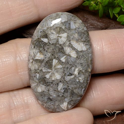 42.02ct Natürlicher Mehrfarbig Koralle, Oval, Lichtundurchlässig