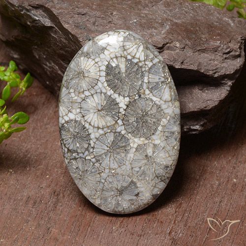 38.17ct Natürlicher Mehrfarbig Koralle, Oval, Lichtundurchlässig