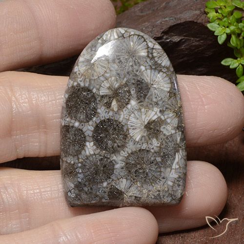 45.79ct Natürlicher Mehrfarbig Koralle, Fantasie, Lichtundurchlässig, Photo A
