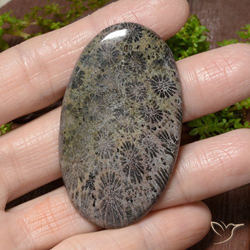 66.42ct Natürlicher Mehrfarbig Koralle, Oval, Lichtundurchlässig