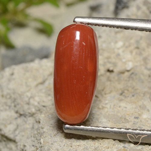 2.09ct Natürlicher orange-rot Koralle, Oval, Lichtundurchlässig