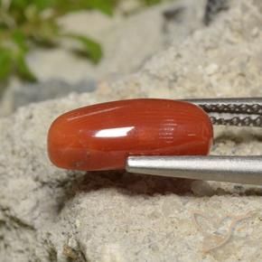 9,17 ctw natürlicher orange-rot Koralle, Oval, Lichtundurchlässig