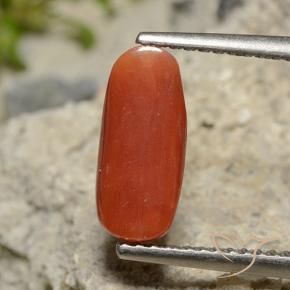 9,17 ctw natürlicher orange-rot Koralle, Oval, Lichtundurchlässig