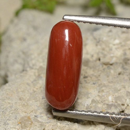 2.14ct Natürlicher orange-rot Koralle, Oval, Lichtundurchlässig, Photo A