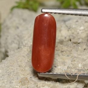 9,17 ctw natürlicher orange-rot Koralle, Oval, Lichtundurchlässig