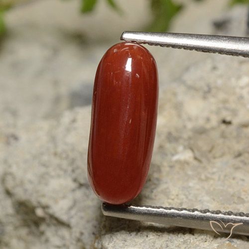1.89ct Natürlicher Lippenstift Rot Koralle, Oval, Lichtundurchlässig