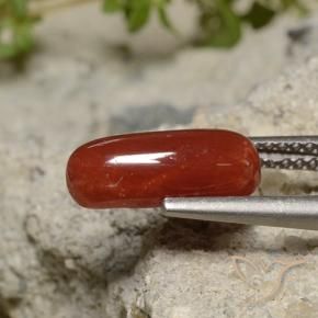9,17 ctw natürlicher Lippenstift Rot Koralle, Oval, Lichtundurchlässig