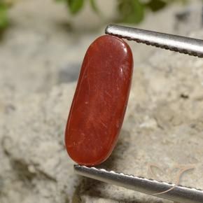 9,17 ctw natürlicher Lippenstift Rot Koralle, Oval, Lichtundurchlässig