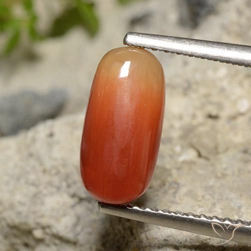 2.12ct Natürlicher Mittelorange Koralle, Oval, Lichtundurchlässig