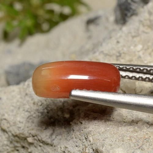 9,17 ctw natürlicher Mittelorange Koralle, Oval, Lichtundurchlässig