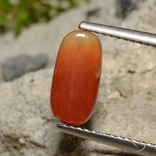 9,17 ctw natürlicher Mittelorange Koralle, Oval, Lichtundurchlässig