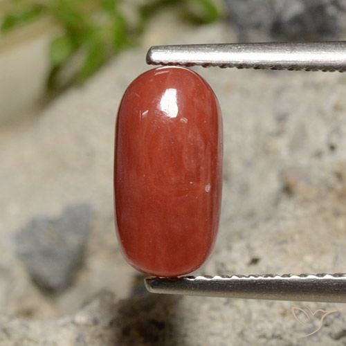 2.04ct Natürlicher orange-rot Koralle, Oval, Lichtundurchlässig