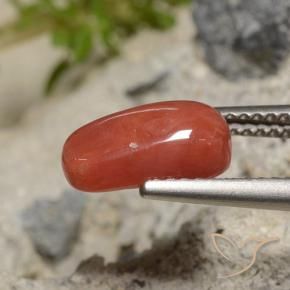 9,17 ctw natürlicher orange-rot Koralle, Oval, Lichtundurchlässig