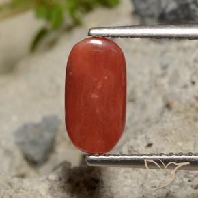 9,17 ctw natürlicher orange-rot Koralle, Oval, Lichtundurchlässig