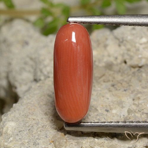 2.00ct Natürlicher Feuerorange Koralle, Oval, Lichtundurchlässig