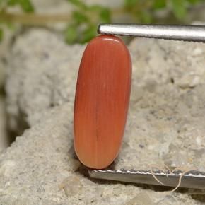 9,17 ctw natürlicher Feuerorange Koralle, Oval, Lichtundurchlässig