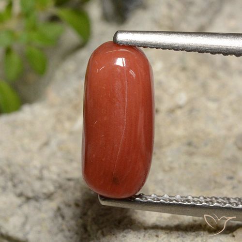 2.14ct Natürlicher orange-rot Koralle, Oval, Lichtundurchlässig