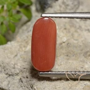 9,17 ctw natürlicher orange-rot Koralle, Oval, Lichtundurchlässig