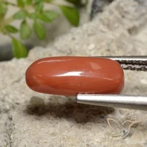 9,17 ctw natürlicher orange-rot Koralle, Oval, Lichtundurchlässig