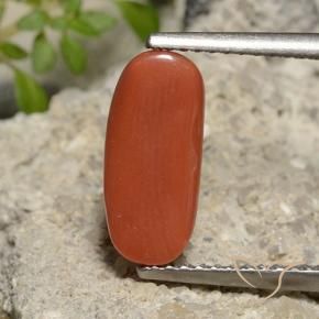 9,17 ctw natürlicher orange-rot Koralle, Oval, Lichtundurchlässig