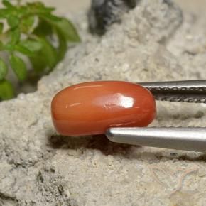 9,17 ctw natürlicher Mittelorange Koralle, Oval, Lichtundurchlässig