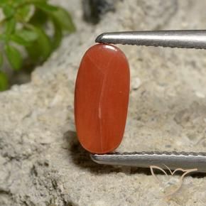 9,17 ctw natürlicher Mittelorange Koralle, Oval, Lichtundurchlässig