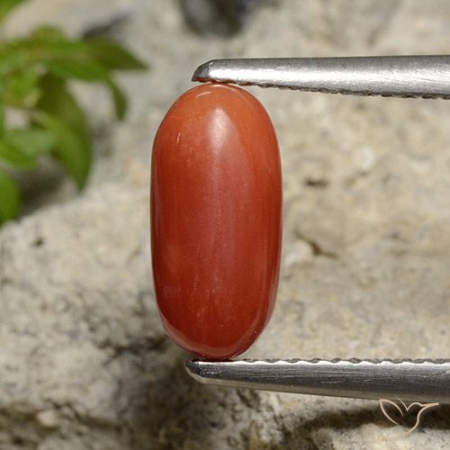 9,17 ctw natürlicher Mittelorange Koralle, Oval, Lichtundurchlässig