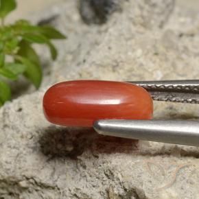 9,17 ctw natürlicher Mittelorange Koralle, Oval, Lichtundurchlässig