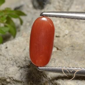 9,17 ctw natürlicher Mittelorange Koralle, Oval, Lichtundurchlässig