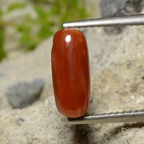 1.81ct Natürlicher Feuerrot Koralle, Oval, Lichtundurchlässig