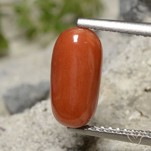 2.01ct Natürlicher orange-rot Koralle, Oval, Lichtundurchlässig
