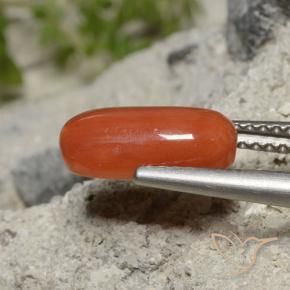 9,17 ctw natürlicher orange-rot Koralle, Oval, Lichtundurchlässig