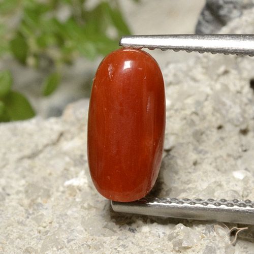 1.86ct Natürlicher Feuerrot Koralle, Oval, Lichtundurchlässig