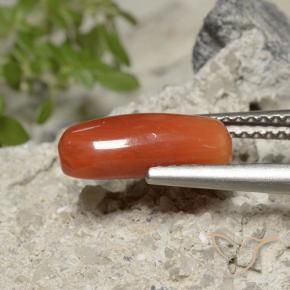9,17 ctw natürlicher Feuerorange Koralle, Oval, Lichtundurchlässig