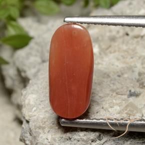 9,17 ctw natürlicher Feuerorange Koralle, Oval, Lichtundurchlässig