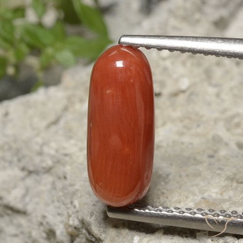 2.15ct Natürlicher Mittelorange Koralle, Oval, Lichtundurchlässig
