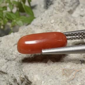 9,17 ctw natürlicher Mittelorange Koralle, Oval, Lichtundurchlässig