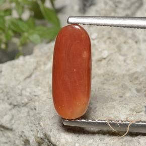 9,17 ctw natürlicher Mittelorange Koralle, Oval, Lichtundurchlässig