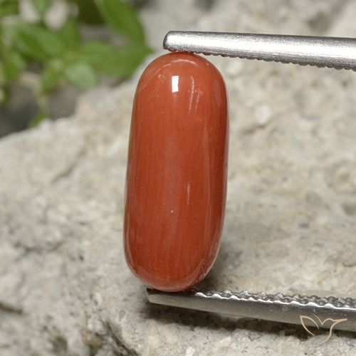 1.90ct Natürlicher Feuerorange Koralle, Oval, Lichtundurchlässig