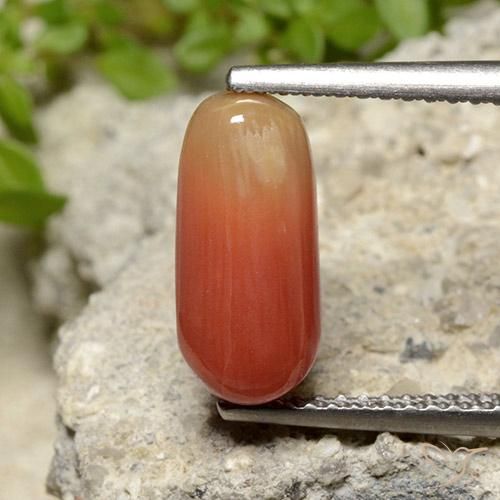 2.78ct Natürlicher Feuerorange Koralle, Oval, Lichtundurchlässig