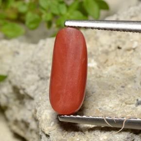 9,17 ctw natürlicher Mittelorange Koralle, Oval, Lichtundurchlässig