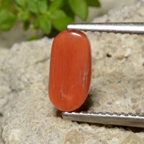 1,40 ctw natürlicher orangefarbener Koralle, Oval Schliff, Lichtundurchlässig