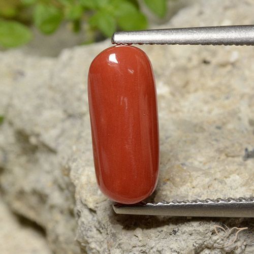 2.06ct Natürlicher orange-rot Koralle, Oval, Lichtundurchlässig
