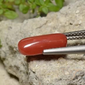 9,17 ctw natürlicher orange-rot Koralle, Oval, Lichtundurchlässig